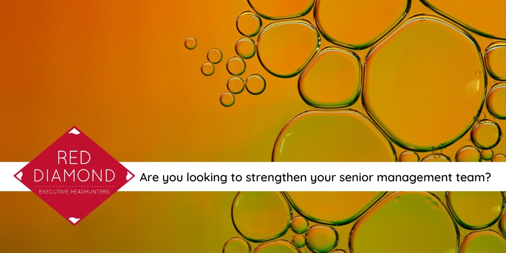 RedDiamondExec's tweet photo. When it comes to appointing senior figures it pays to plan ahead. Highly skilled and professional @RedDiamondexec can hugely benefit your organisation. Get in touch https://t.co/Mi6w3mxb4Q  #ExecHires #Reddiamonders https://t.co/i6aoakUKDv