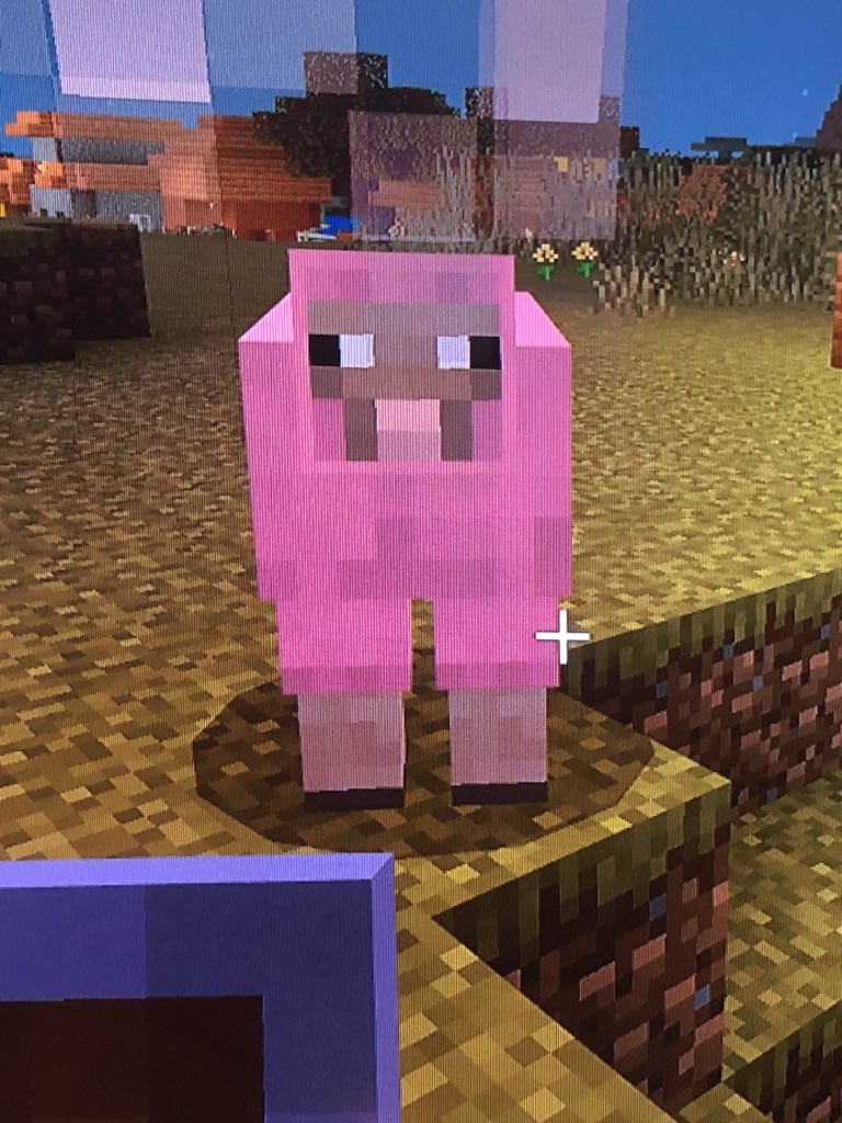 Ryan42004876's tweet photo. Bruh look at what i found i swear i didnt dye it i just found it walking in the wild😂😂 https://t.co/fV4SXBfWqC