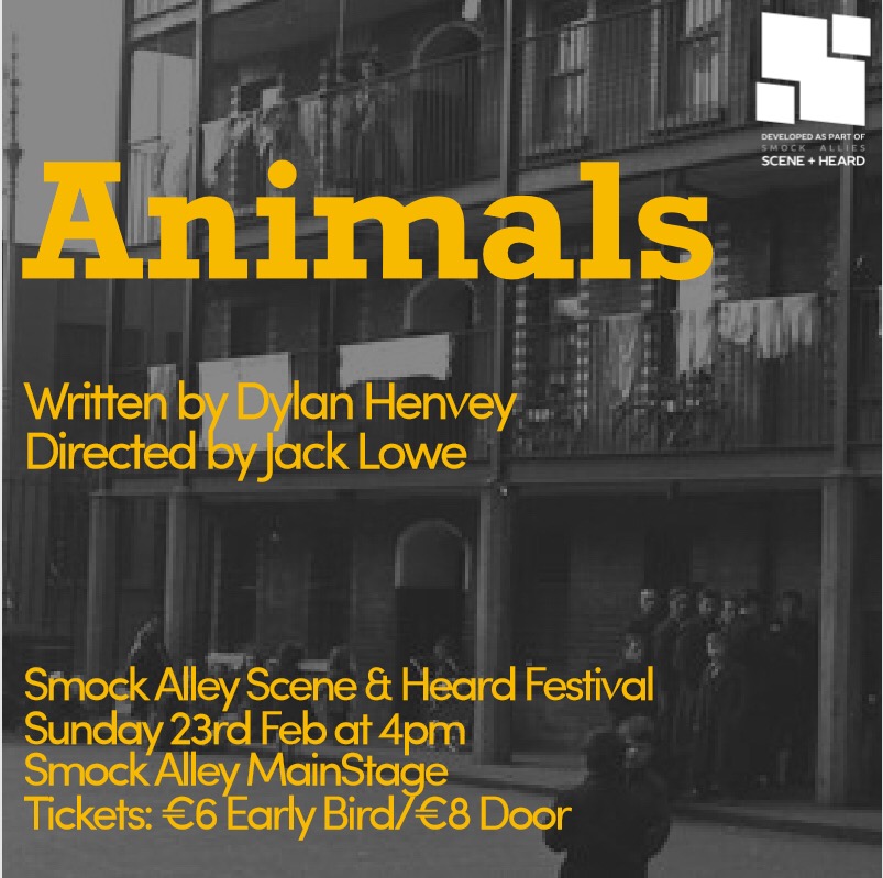 Dylan Henvey tweet media