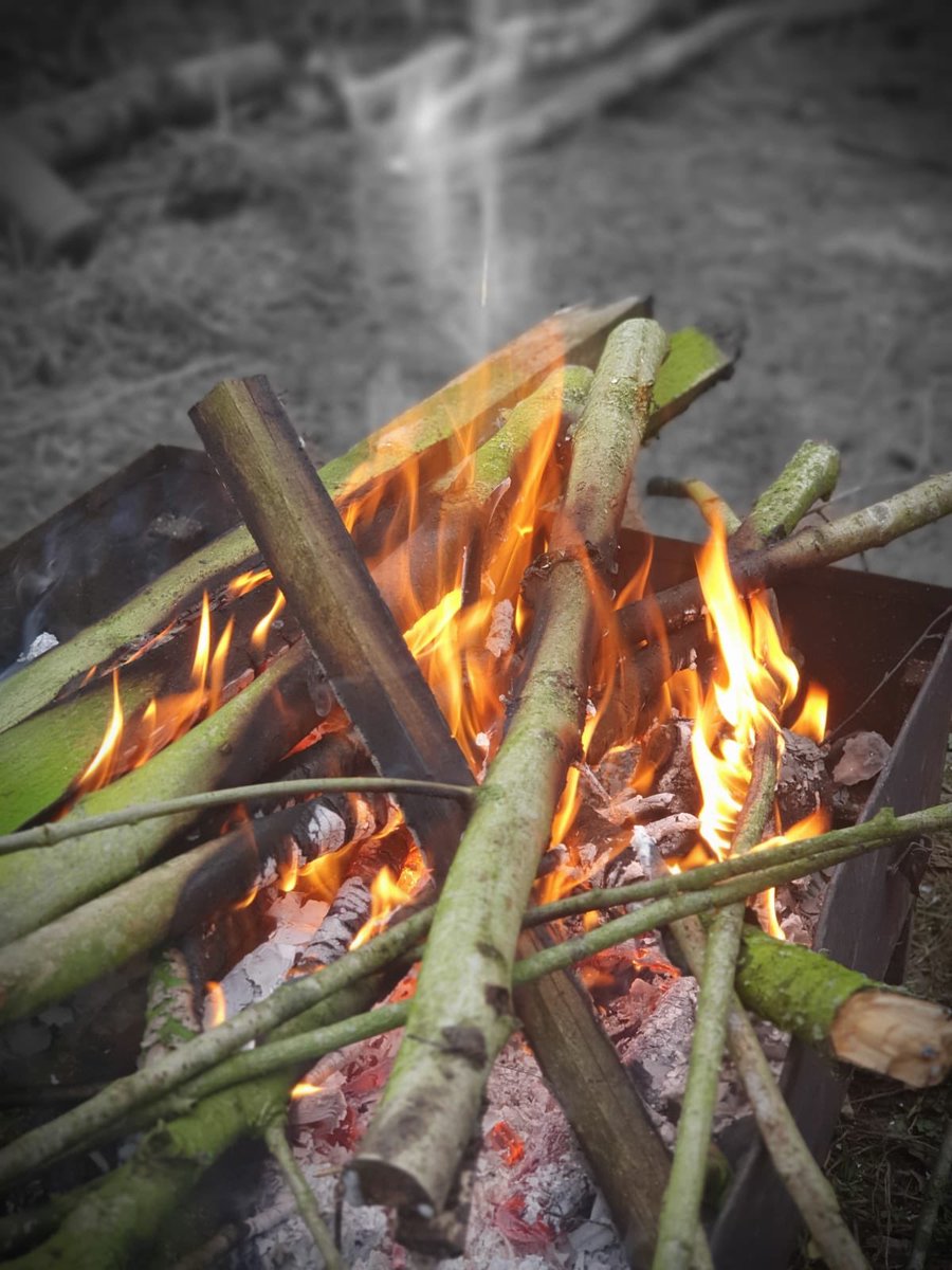 WilderThingsUK's tweet photo. #environmental #therapy in the #woods with #wilderthings @AMSc_m @AlexRGuy @Switalskis @PIandMedNeg @WoodlandTrust https://t.co/tOanDl0tDZ