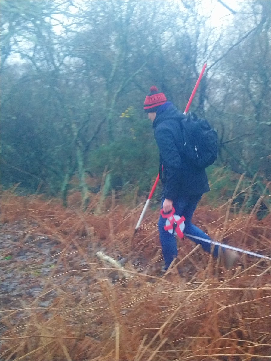 Moving back into the climax vegetation at Studland Beach Sandune System on the Geography Fieldtrip <a href="/DoverCollege/">Dover College</a> @geofieldworkltd