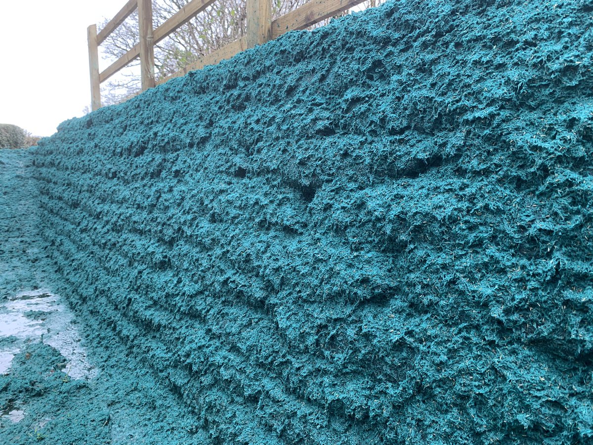 Hydroseeding tweet picture