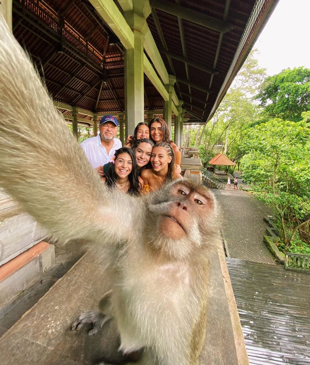 Bali Fixer tweet media