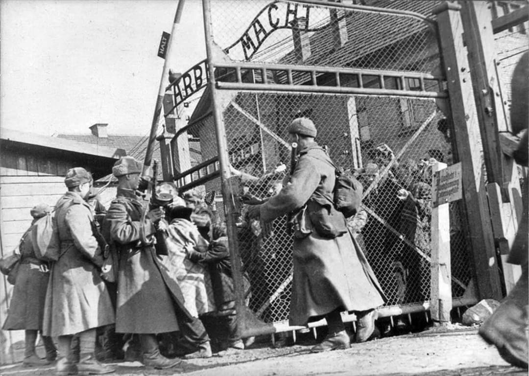 IMarcuello's tweet photo. Avui 75 anys de la liberacio de Auschwitz, #campexterminiNazi  
No oblidar l’horror. Mostrar-ho. El que mai pot tornar a pasar. 
#Auschwitz75 
#HolocaustMemorialDay https://t.co/HWW8CayDOs