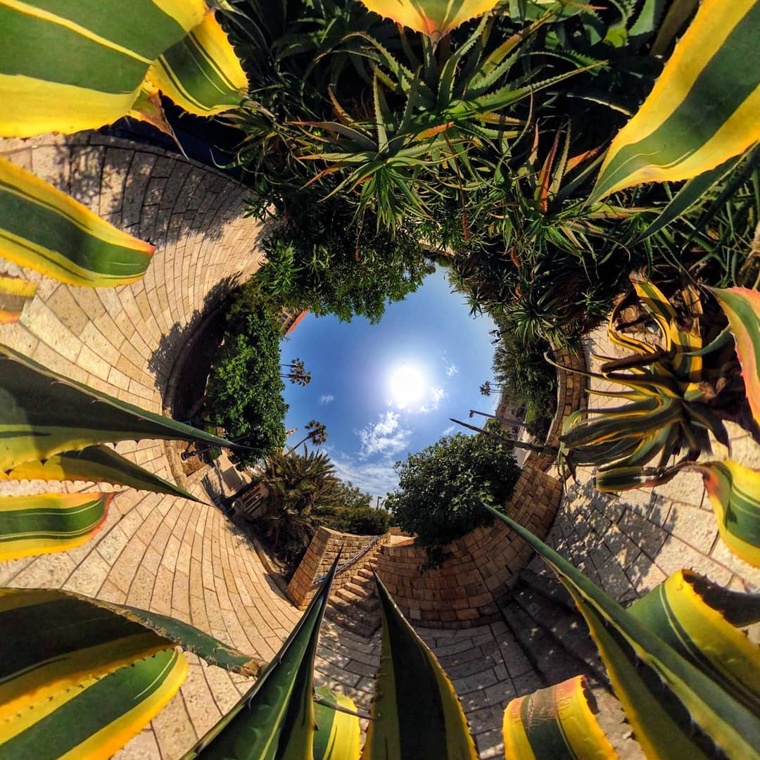 Why not 'leaf' the stresses of everyday life behind and take the scenic route for a change?

We're getting some seriously exotic vibes from this awesome image from <a href="/Mik3Cain/">Mike Cain</a> - thanks for sharing!

Shot on #VuzeXR