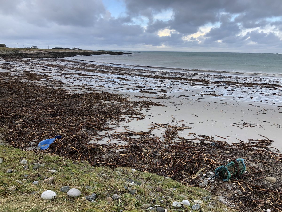 SuilanSpink's tweet image. Counted 10 #creels ~ small #Fleet #washedup #tidalpower over the #weekend #TidyTuesday not ~ tides #receeding recovery has to wait work to do #ClimateChange   #beaches #ghost #Nets #fishing. gear @FisherCoastUK @sascampaigns @GreenerScotland  @mcsuk @marinescotland @WWFScotland