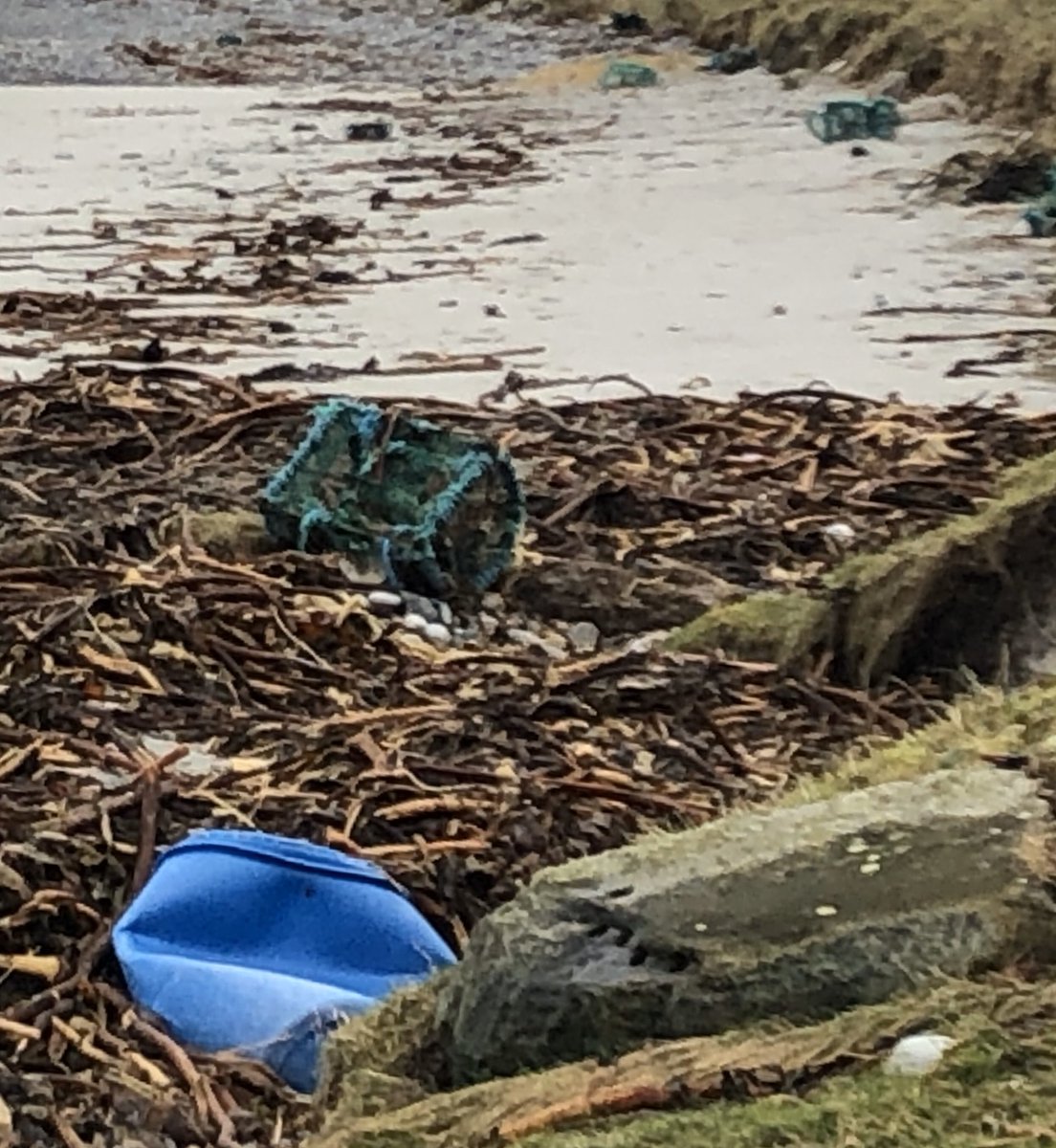 SuilanSpink's tweet image. Counted 10 #creels ~ small #Fleet #washedup #tidalpower over the #weekend #TidyTuesday not ~ tides #receeding recovery has to wait work to do #ClimateChange   #beaches #ghost #Nets #fishing. gear @FisherCoastUK @sascampaigns @GreenerScotland  @mcsuk @marinescotland @WWFScotland