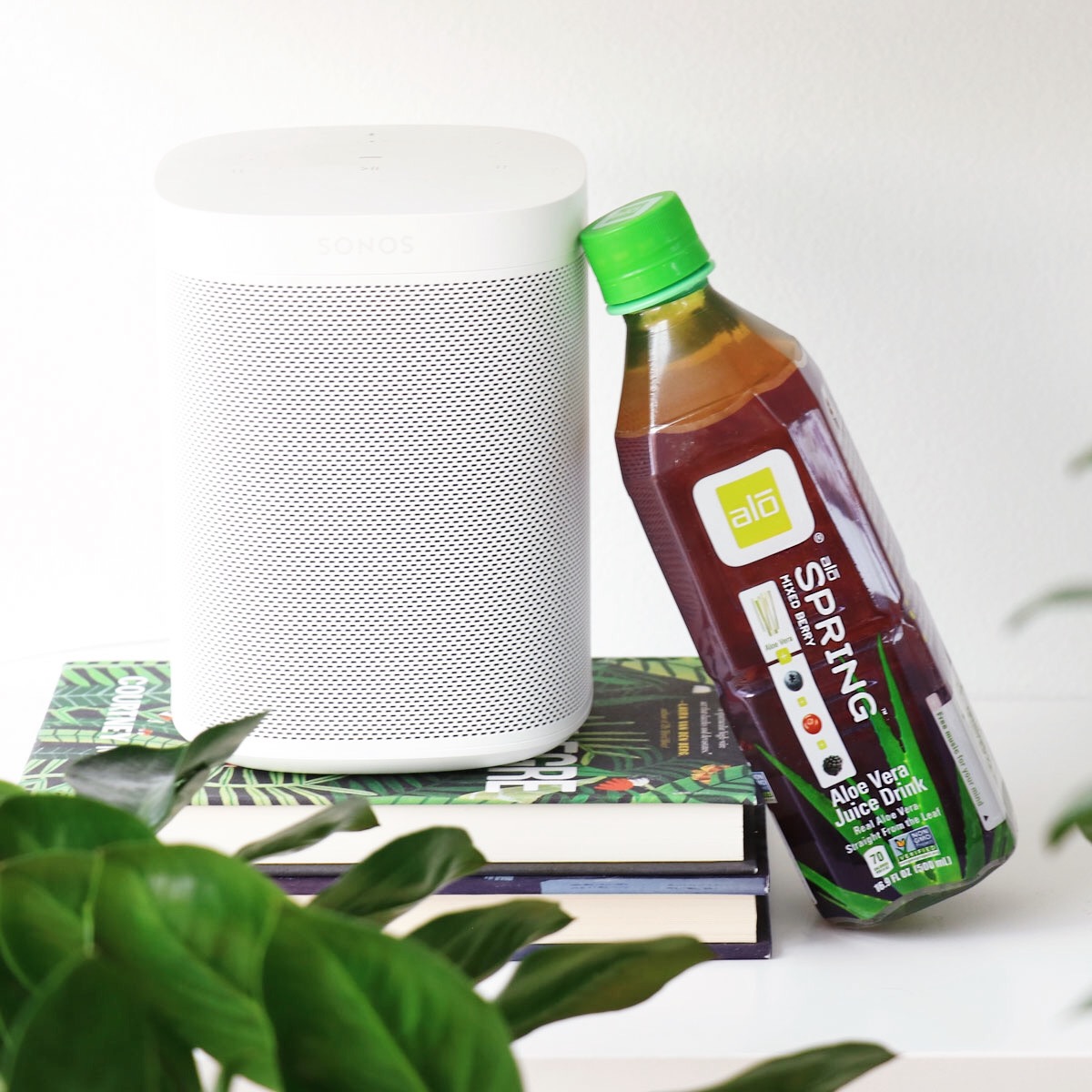 ALOdrink's tweet photo. Dreaming of spring? We can't make it come faster, but we CAN help #makeyourbodysing with aloe-packed #ALOSpring πΆ Remember, each bottle of #ALODrink comes with a FREE song download! https://t.co/IVB1H4GD5s
