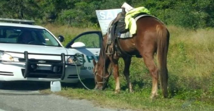 Nicodemus_Law's tweet photo. Ever wonder if it's an OVI to ride your horse down the street while impaired? What, you've never wondered that? It's not likely an OVI but you might still get arrested so for the record, please don't do it! #ovidefense #criminaldefense
Find out more here: https://t.co/3NvBiaByrS https://t.co/xCi7rRkRtp