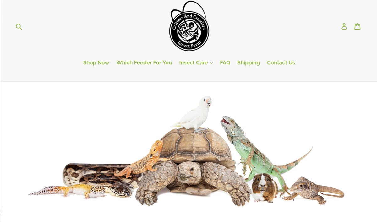Critters And Crawlers Crittercrawlers توییتر