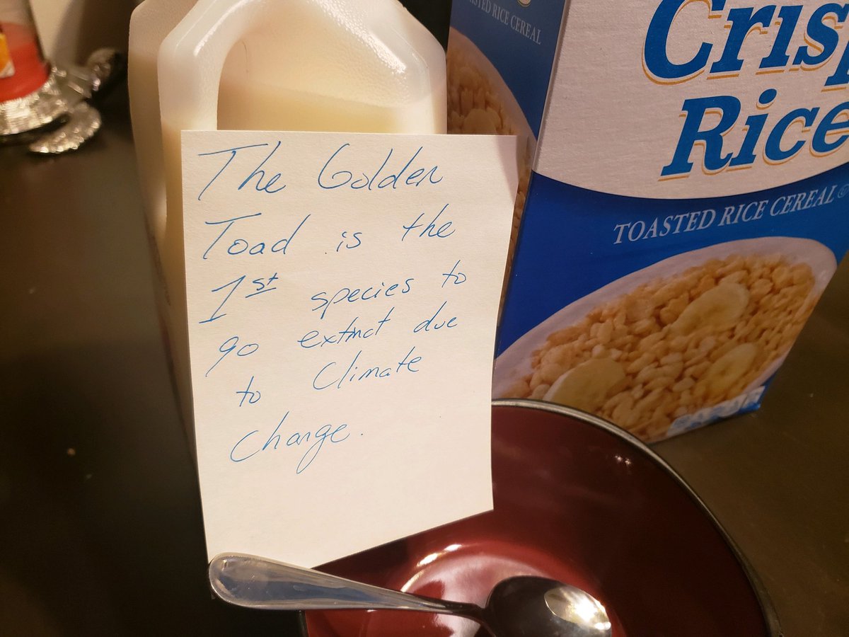 ComicsClimate's tweet photo. Comic #56c ready to be mailed pending your donation #comicsforclimate #ClimateChange #ClimateAction #climate #ClimateEmergency #sustainability #noplanetb #extinction #species #breakfast #missing https://t.co/YO1WfHx9Xk