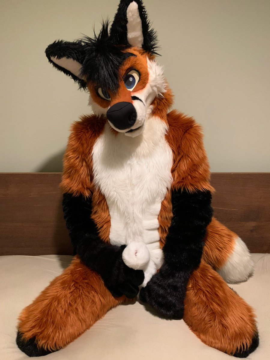 tekfoxafterdark tweet media