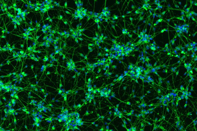 CRiverLabs's tweet image. We will be introducing a recent collaboration with Bit Bio at #SLAS2020. Stop by booth 2047 from 2:30-6:00pm to discuss this new capability with Charles River and Bit Bio scientific leadership. bit.ly/2RmWVuq