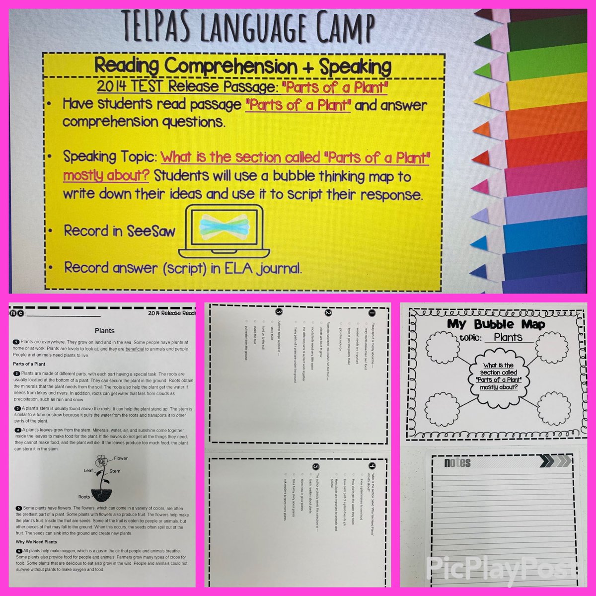 pily579's tweet photo. 🗣Coming Soon_TELPAS Language Camp: Enhance Reading and Speaking skills in a 2:1 activity. Students will practice a Rdg. Selection from the 2014 TELPAS Release test and answer an Open Ended question @Seesaw 🤓. @CGarza0930 @LaJoyaISDEdTech @FelyTeachnology @DrET4ESL #advanceHIGH https://t.co/3J0rWpZwYT