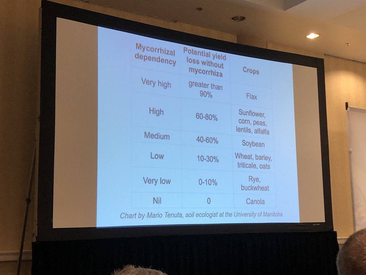 russbmckenzie's tweet photo. Really interesting point about when you should innoculste with mycorrhizae fungicide post brassica (which obviously doesn’t support it).  Definitely apply with cereal/grasses as you will get your biggest return &amp; boost as they support the biggest range of species. https://t.co/Yf8XAAp6Ll
