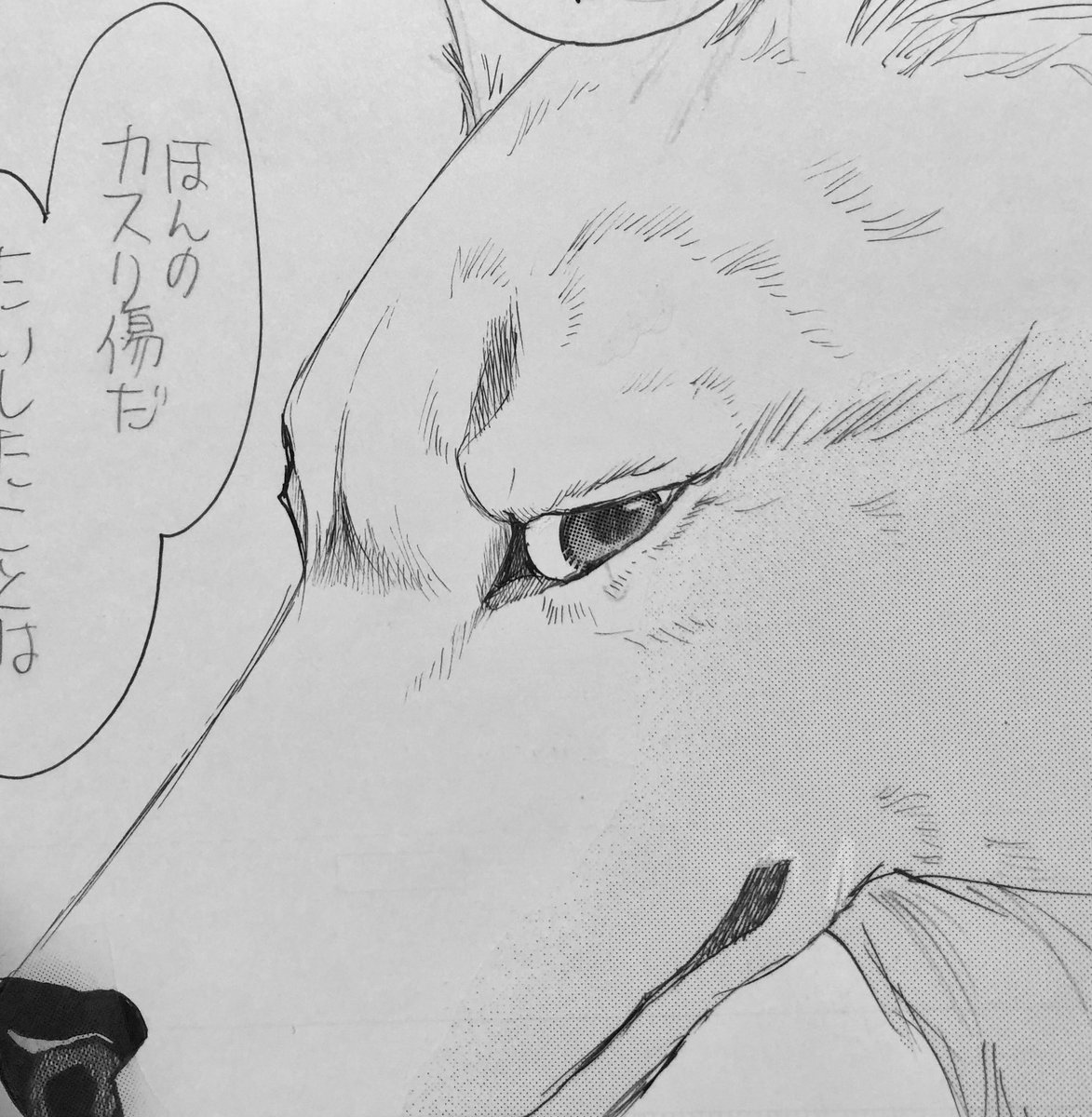 「うちネコ」の原稿できてホッとしてます。
今回のイケペリタン。 