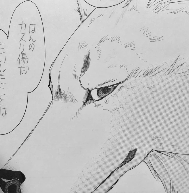 「うちネコ」の原稿できてホッとしてます。
今回のイケペリタン。 