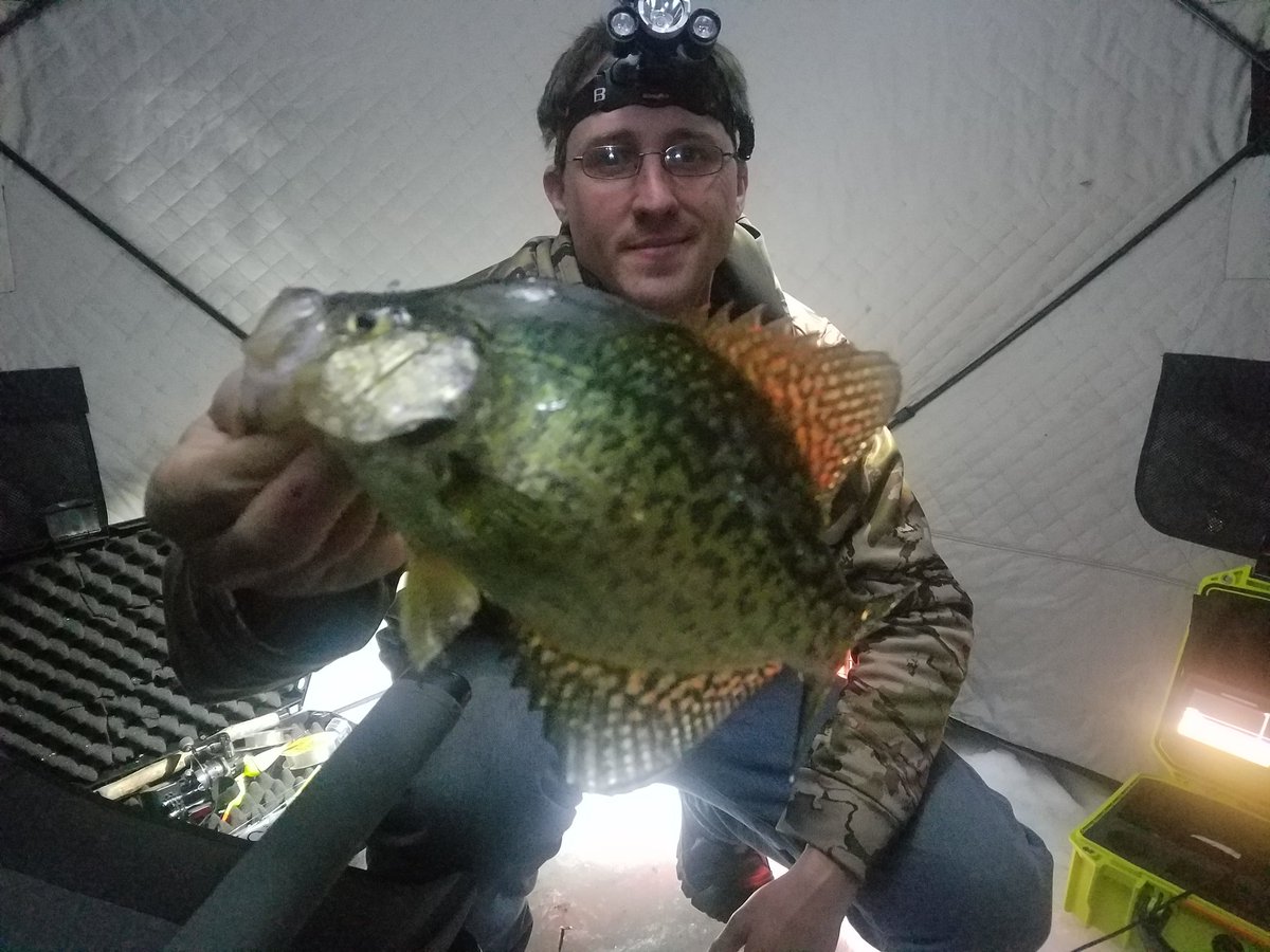 Crappie slabs