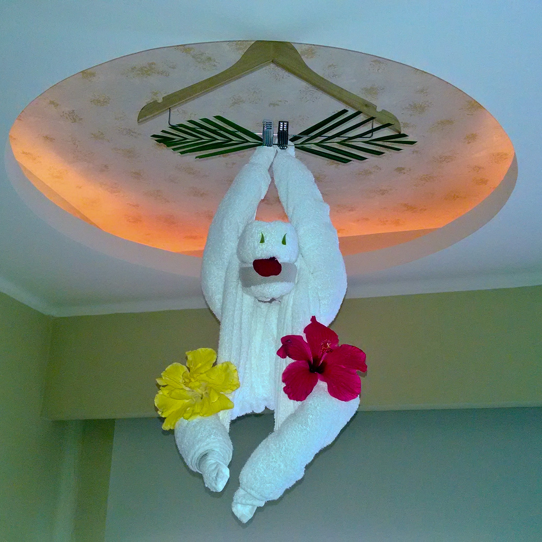 RickGriffin's tweet photo. This week's #Top4Theme is #Top4Animals! Here are my #Top4TowelAnimals!
Share your critter pics, tag some friends, & tag our hosts @GreenMochila @Giselleinmotion @CharlesMcCool @Touchse #travel https://t.co/gUy1PZQZ0X