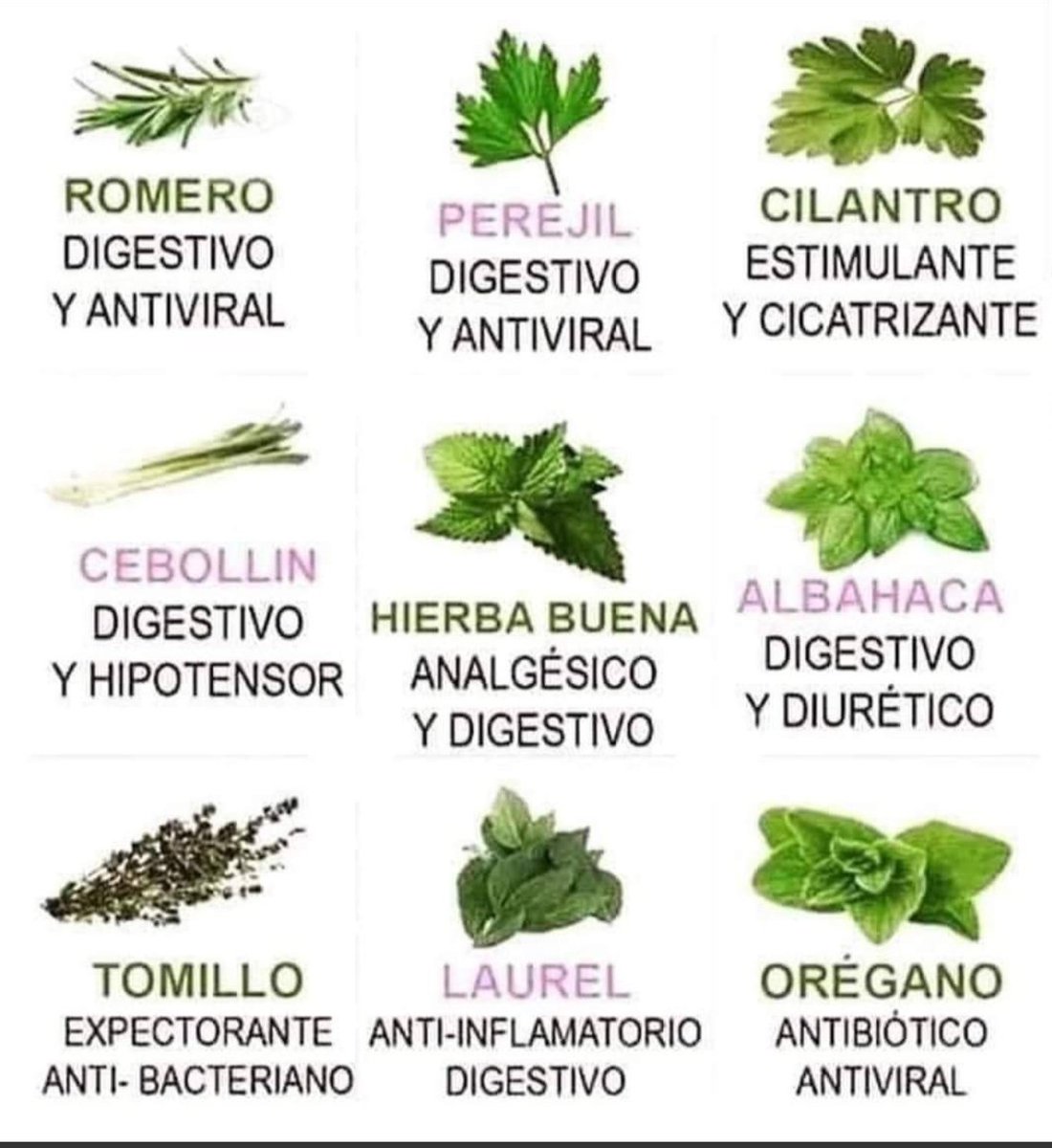 chef_betty's tweet photo. Mi farmacia!!!!
Años de no gastar en medicamento!!!¡ https://t.co/QwXE38RCBC
