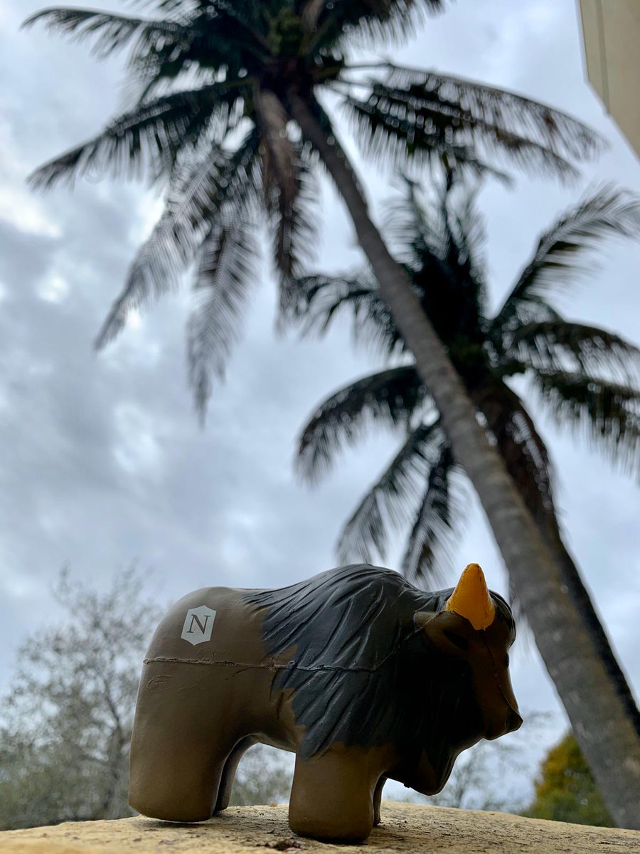 Nichols College tweet media