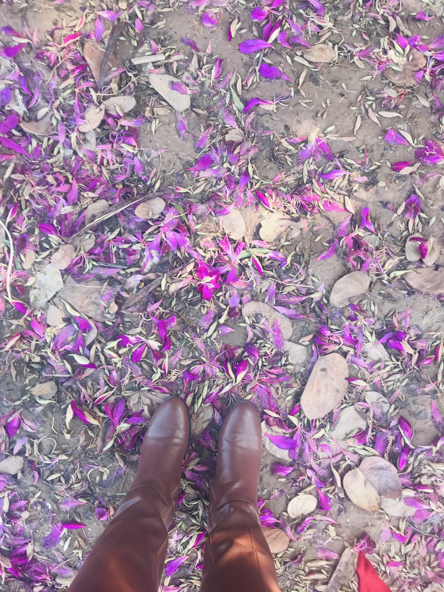 harshitaarvind's tweet photo. Stepping into a new realm. It's more than I asked for and even more, than a prayer answered. #blessed2020 #newlife #newfoundjoy https://t.co/Sn13bZXlmS