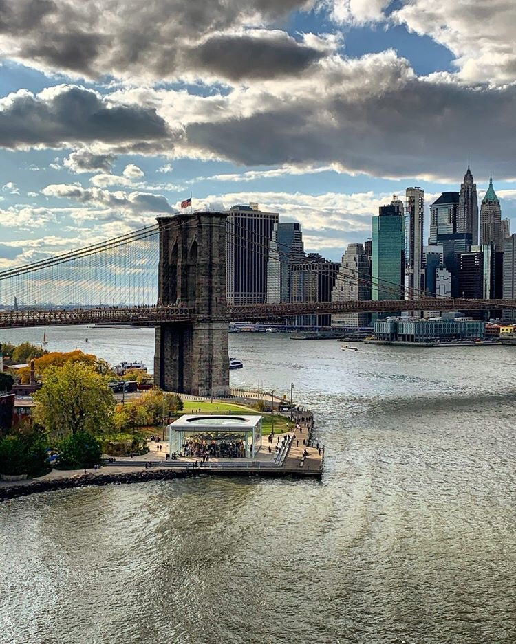 We sure do miss having leaves on the trees! 📷 Credit <a href="/newyork_eyes/">newyork_eyes</a>