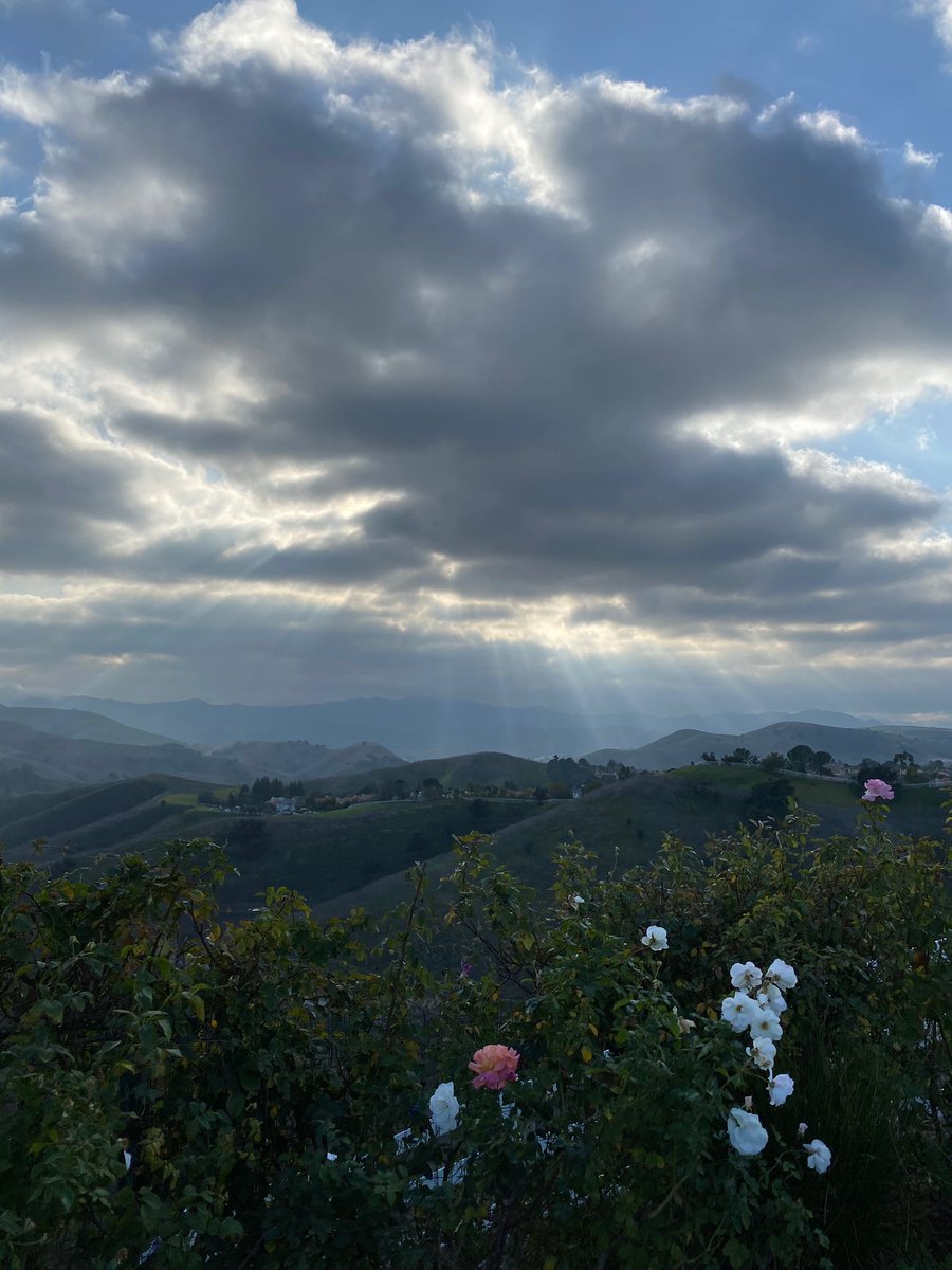 JessicaSimpson's tweet photo. Eric took this photo right after the accident happened where Kobe, his daughter, and other beautiful souls were lifted up to be with God for eternity. I felt the power in the sky of the heavens parting to make room for the greatest of angels to rise. My heart is completely broken https://t.co/GtDXjAEfYi