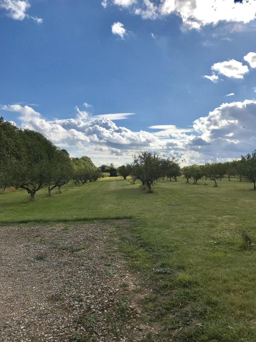 CotonView's tweet photo. What a shame that @SCLibDems & @AidanVdeW are supporting the C2C busway cutting through Cotonβs 100 yr old orchard and do not appear to understand the irony of their tweets re #threefreetrees https://t.co/bR7yEbzr3w