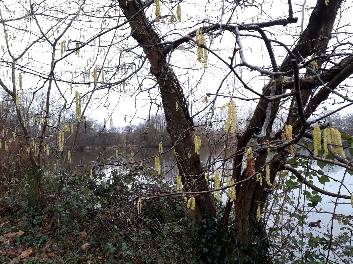 MrPB_Esq's tweet photo. Mindful #GoWalkMrPB around a beautiful new lake to us today, ever appreciating the little things...
#GetOutside #OneHourOutside
#Walk1000Miles
#RaceAtYourPace
#LiveBreatheOutdoors
#MentalHealthMatters
(#MrPBsFirstSteps, #MrPBsNextSteps) https://t.co/Z6Opi8JJX0