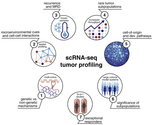 ireflectit's tweet photo. Questions in Cancer Biology Addressed by Emerging Directions with scRNA-Seq.
Ref: Single-Cell RNA Sequencing in Cancer: Lessons Learned and Emerging Challenges (https://t.co/mt8c9JDLKh)
#scRNAseq #singlecell #TumorProfiling #CancerResearch https://t.co/fpcPVOY4Ry
