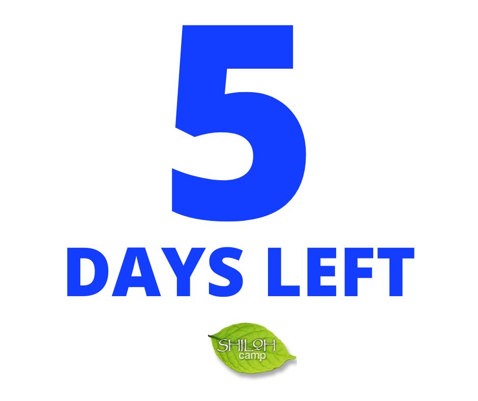 Shiloh Camp tweet media