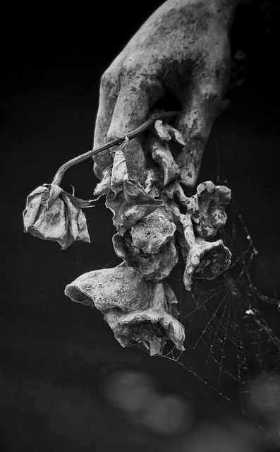 ❝𝓭𝓮𝓪𝓽𝓱 𝓲𝓼 𝓫𝓾𝓽 𝓽𝓱𝓮 𝓷𝓮𝔁𝓽 𝓰𝓻𝓮𝓪𝓽 𝓪𝓭𝓿𝓮𝓷𝓽𝓾𝓻𝓮.❞

⠀⠀ — ᴛʜᴇ f̶o̶r̶g̶o̶t̶t̶e̶n̶ ʙʀᴏᴛʜᴇʀ,  ɢʀᴇᴇᴋ ɢᴏᴅ, ᴜɴᴅᴇʀᴡᴏʀʟᴅ ᴋɪɴɢ, sʜɪᴘs ᴡ/ ᴄʜᴇᴍ, ᴅᴇᴛᴀɪʟᴇᴅ ʀᴘ, ᴍᴀᴛᴜʀᴇ (!) —

⠀⠀↬ 𝙥𝙚𝙣𝙣𝙚𝙙 𝙗𝙮 𝙬𝙞𝙡𝙡💫