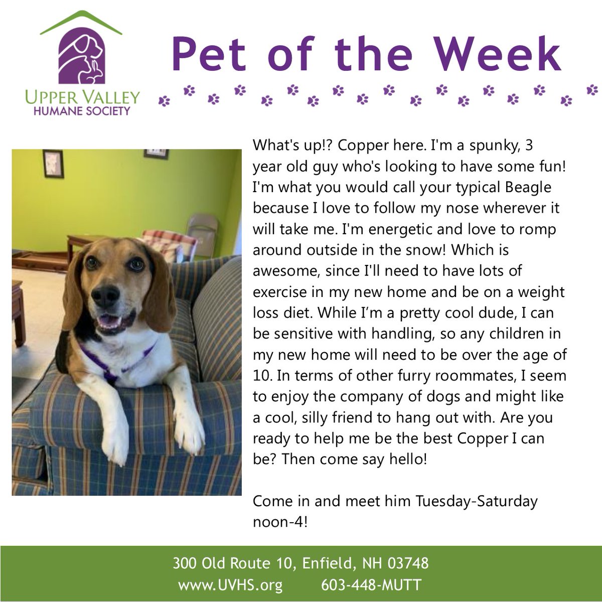 UVHumaneSociety's tweet photo. Meet our Pet of the Week, Copper! He's 3 yrs old, dog friendly, and looking for someone to be his workout buddy!
#adoptdontshop #animals #animallovers #dogs #dog #cute #animalshelter #sanctuary #loveanimals #adopt #UpperValleyPets #VermontAdoptablePets #NewHampshireAdoptablePets https://t.co/txemhxjItw