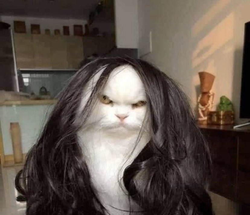 GroseilleJlouis's tweet photo. Je suis mort on dirait l’actrice française toujours énervée ou shootée je sais plus son nom https://t.co/1O8GpRz9NV