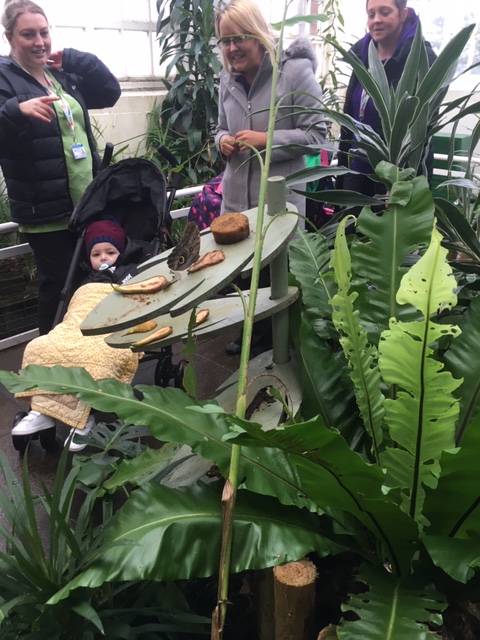 Did you all have a great weekend? We certainly did here! We were out and about enjoying some of our local attractions, including the Butterfly House at <a href="/WilliamsonPark/">WilliamsonPark</a>  and <a href="/OldHollyFarm/">Old Holly Farm</a> (we loved the goats the most; they're very friendly!) We also had lots of fun at bowling 🦋🐐