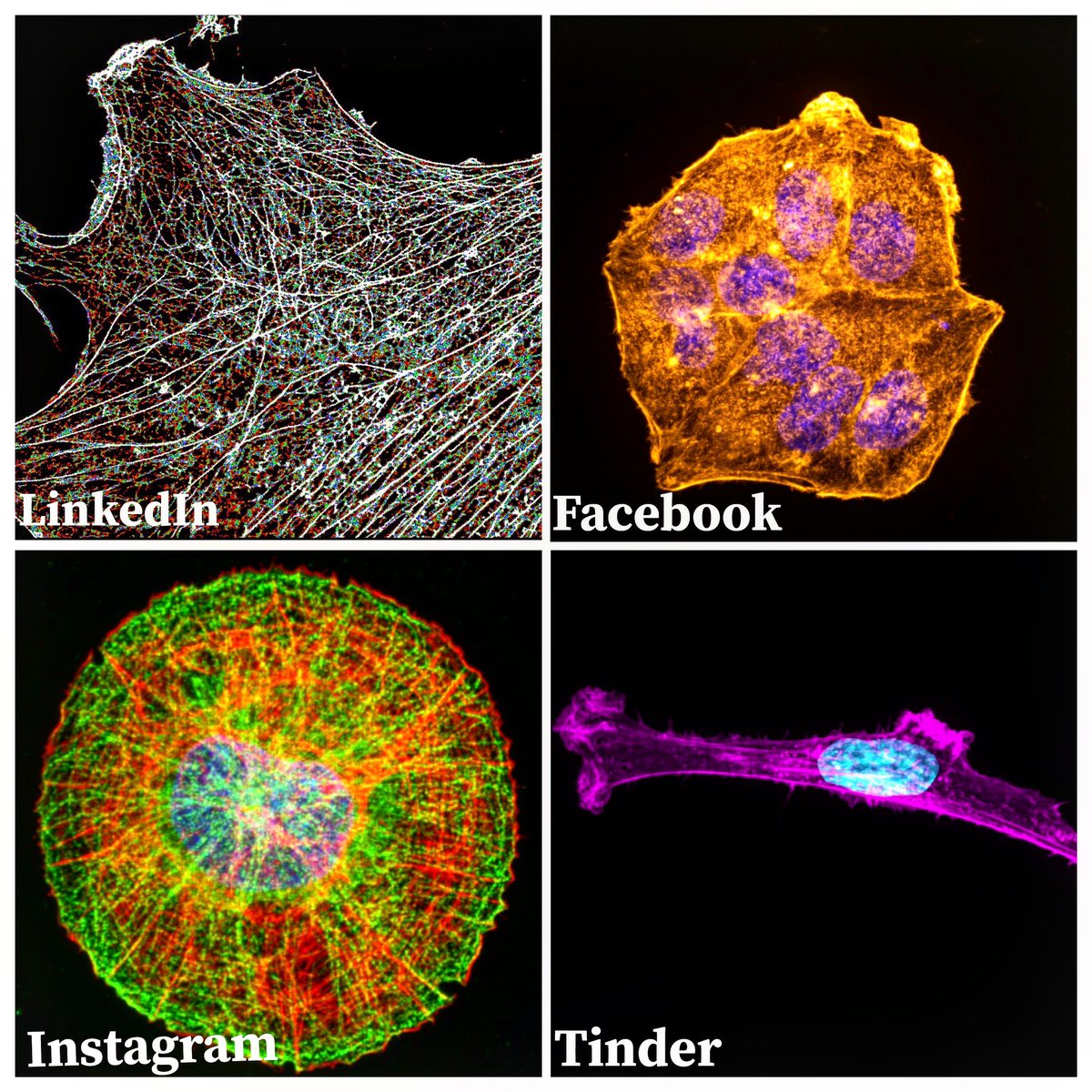 Emily Richardson tweet media