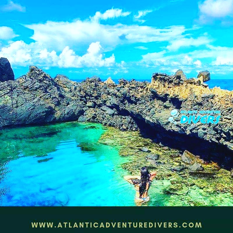 AtlAdvDivers's tweet photo. It's still summer here☀️😂🌴

https://t.co/Dk7EJMkA7T
#atlanticadventuredivers #dive #underwaterworld #scubadiving #scuba #instadive #scubadivinggirls #divinglife #island #divinglife https://t.co/CKrv6a0NgJ