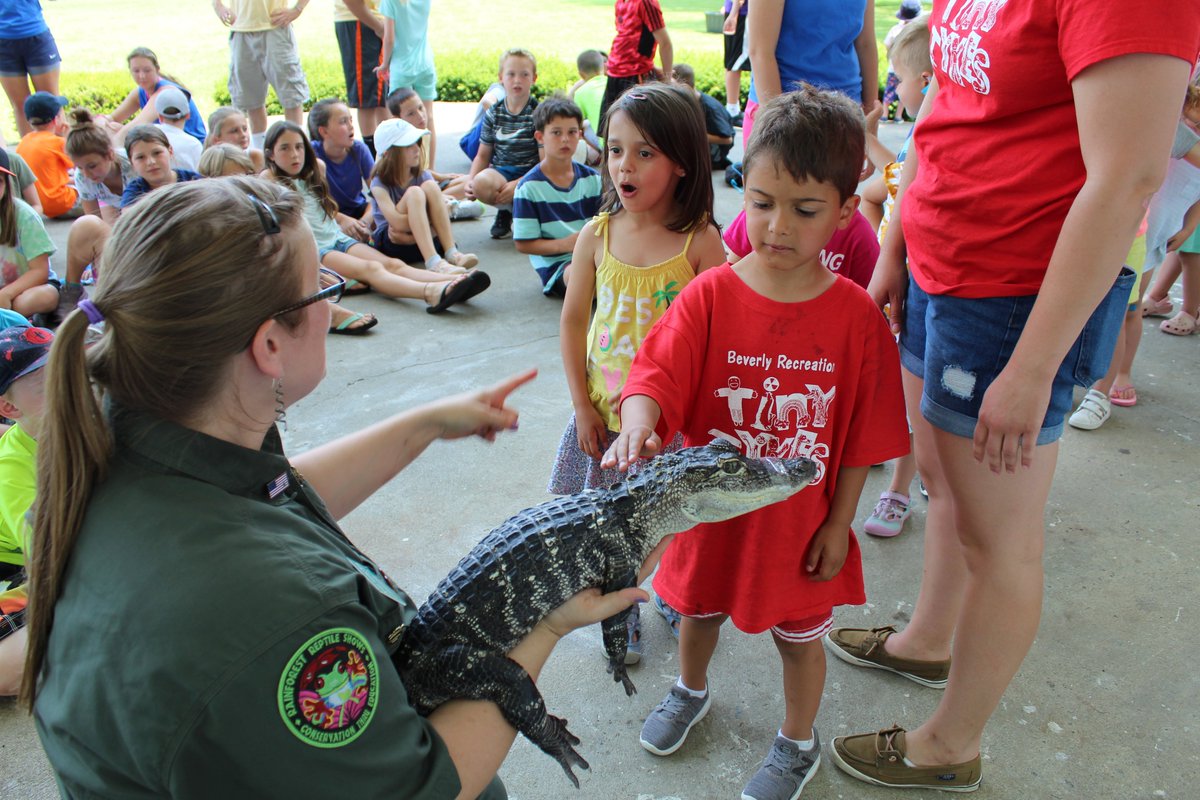 BevRec's tweet image. SUMMER CAMP registration begins Monday, 2/3 at Noon. bevrec.com is where the summer fun starts!