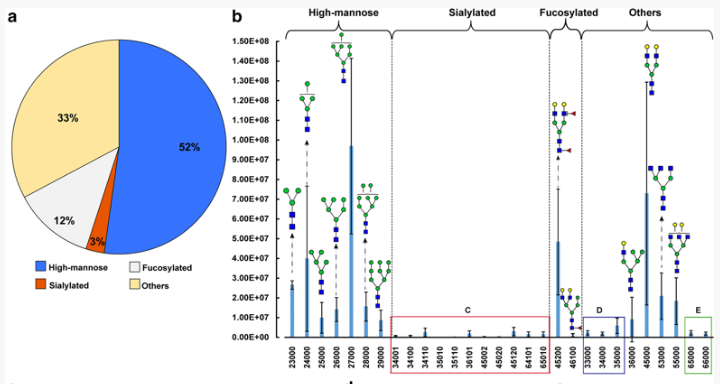 Our study of glycan chemistry of Symbiodiniaceae and its role in cnidarian-dinoflagellate symbiosis is out.  Great example of working across fields.  Symbiont glycome is complex and we are just starting to understand its function in symbiosis. Great job all! @OSUIB