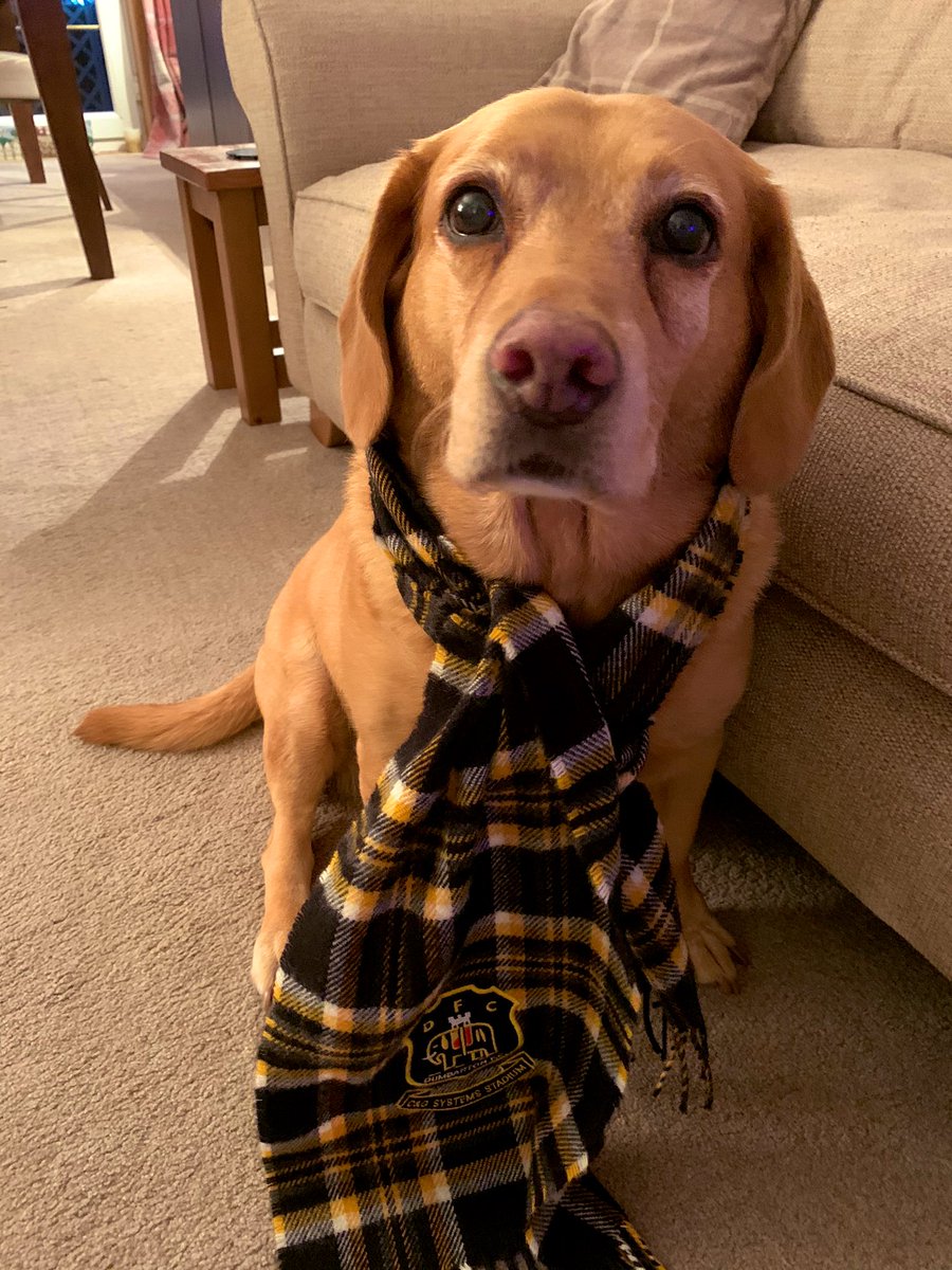 andy_shas's tweet photo. #supportthesons #selfies had to get a little help, no thumbs! @Dumbartonfc #Deedog https://t.co/ncuBKwGLFc