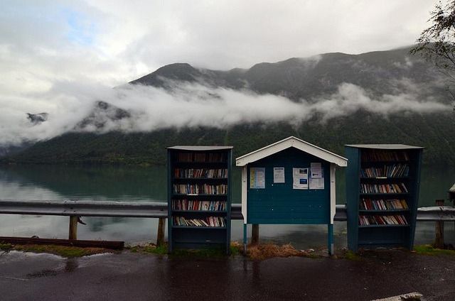 Une petite lecture au bord de l'eau pour terminer la journée ? 🥰

Bonne soirée les booklovers ! 🙌 ❤️