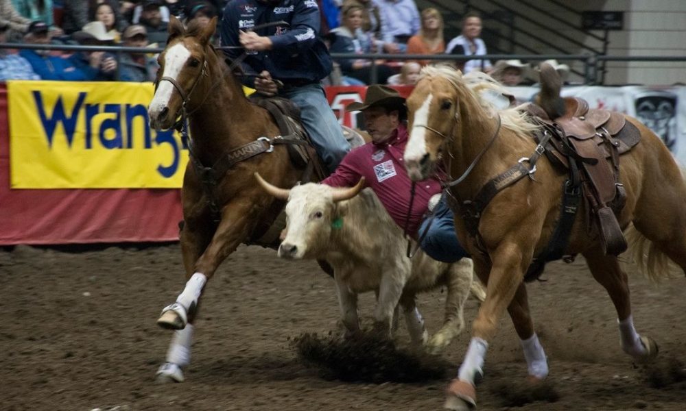 cowboylifestyle's tweet photo. Are you ready South Dakota? The Black Hills Stock Show &amp; Rodeo starts this week! Click below for dates and times. @bhstockshow @rcgov @VisitRapidCity 
 https://t.co/VqEjvJ2VTT https://t.co/QWaITL1SXe