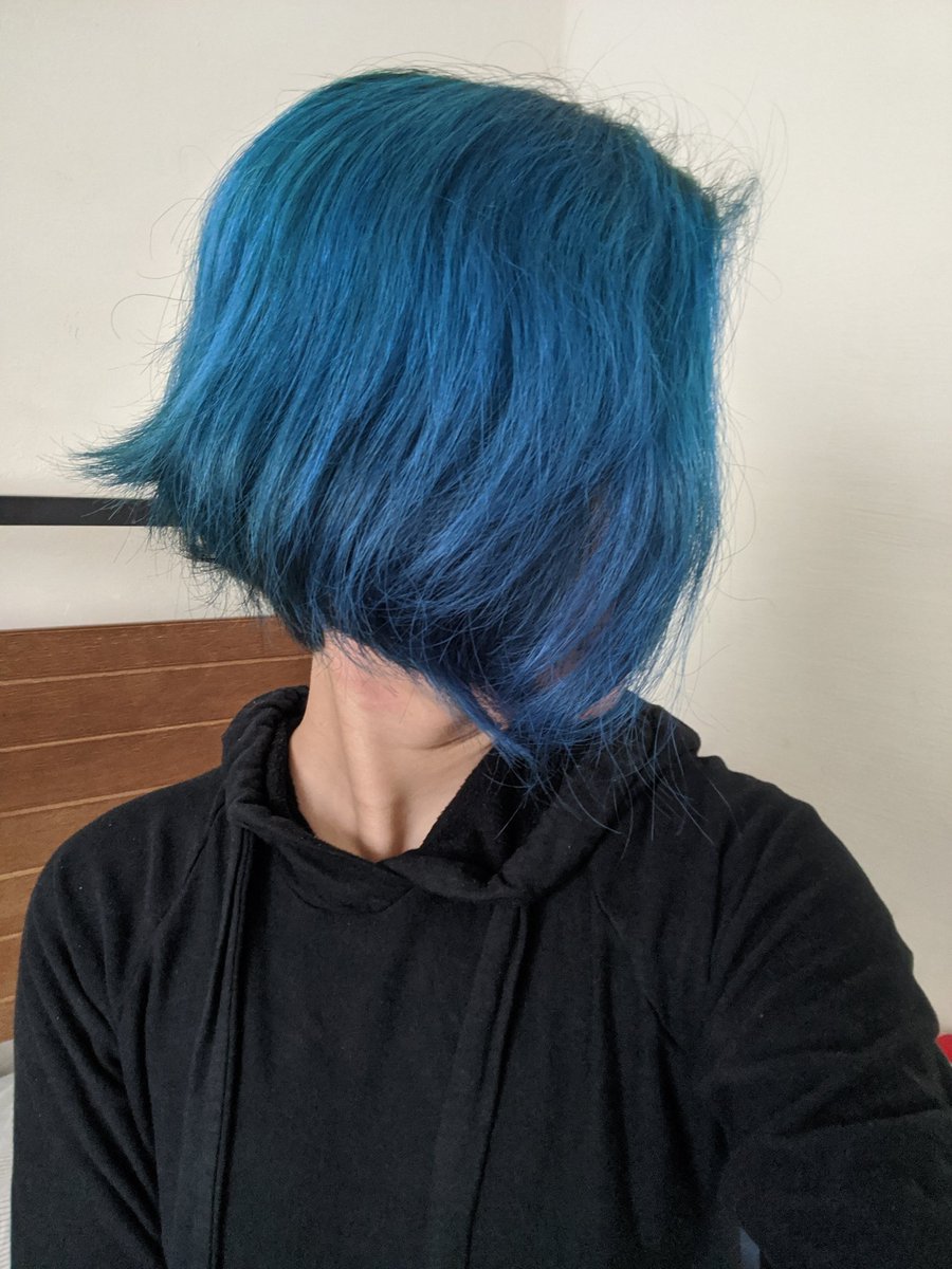 Avi turned sideways to show the newly re-dyed blue portion of Avi's hair while wearing a black hoodie.