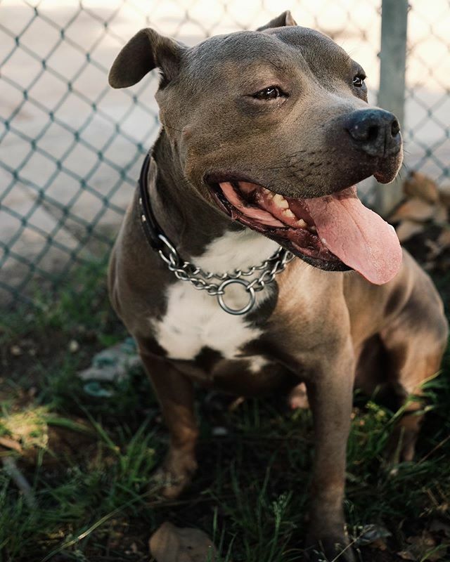 Pablo. #pablopitcasso ift.tt/2vsmnrl