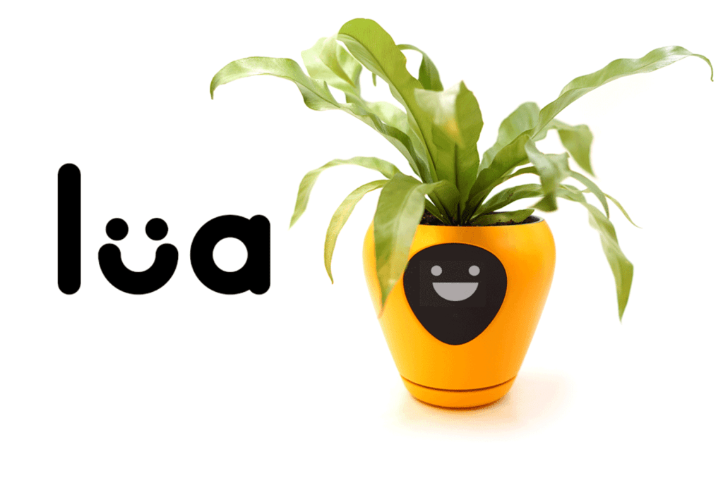 mobirankPL's tweet image. Doniczka #Lua 😛 poinformuje Cię o nastroju Twoich roślin 🥀🙃🎍 🌱#SmartPlanter via @vmullerdesigner mobirank.pl/2020/01/27/don…