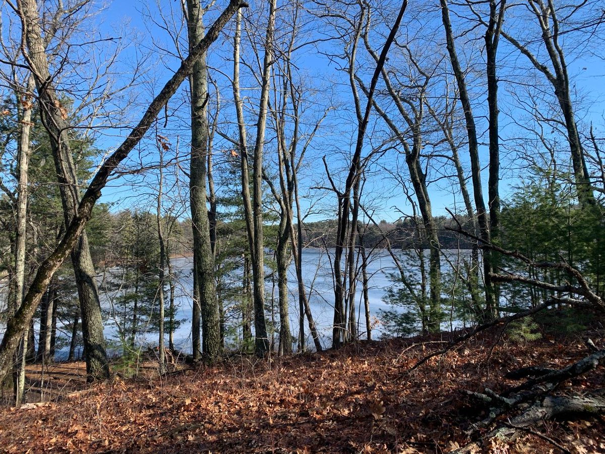 C_T_Lakshmanan's tweet photo. Pictures of my run today in the ice-laden woods - #ashland #massachusetts.
We are lucky to have inherited this piece of paradise & it is our duty to preserve this for future generations #AI4action
@cityofashland @MassGov @MassGovernor @tech_mahindra @MahindraRise @VisitMA https://t.co/M1YczNf0Wi