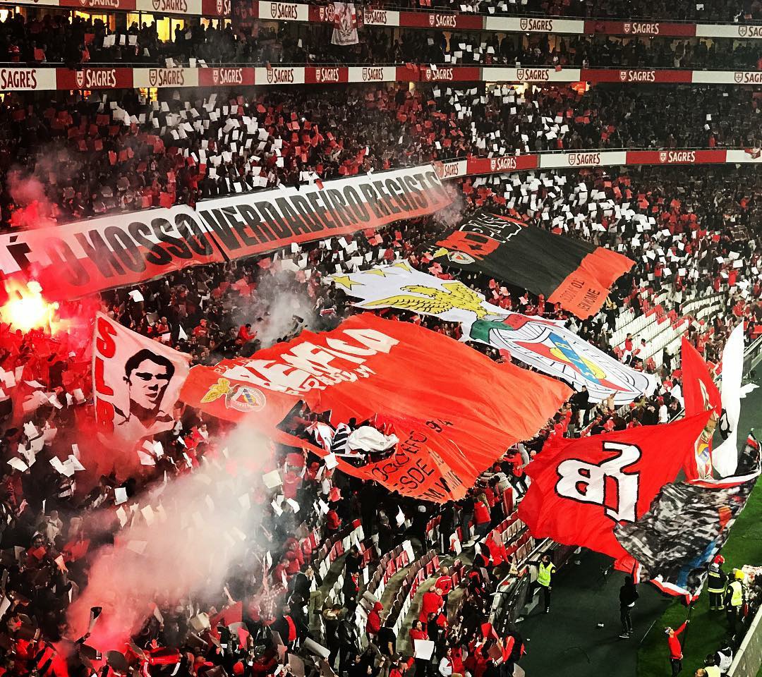 Militancia Benfiquista Ø¯Ø± ØªÙˆÛŒÛŒØªØ± Cartao De Adepto Sou Socio Do Benfica O Maior De Portugal Este E O Nosso Verdadeiro Registo