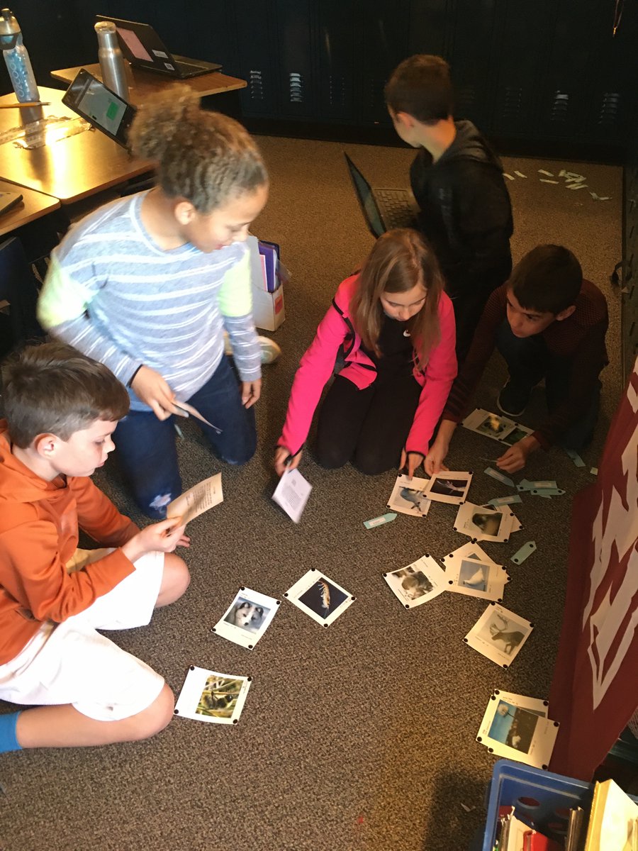 5thwithSivinski's tweet photo. These ecologists are analyzing and creating the desert, aquatic, and arctic food webs today. They have to figure out who is the predator and who is the prey to figure out these extensive webs. π¦ππ¦ #FutureEcologists #4thGradeRocks https://t.co/IlWOcX7Xcm