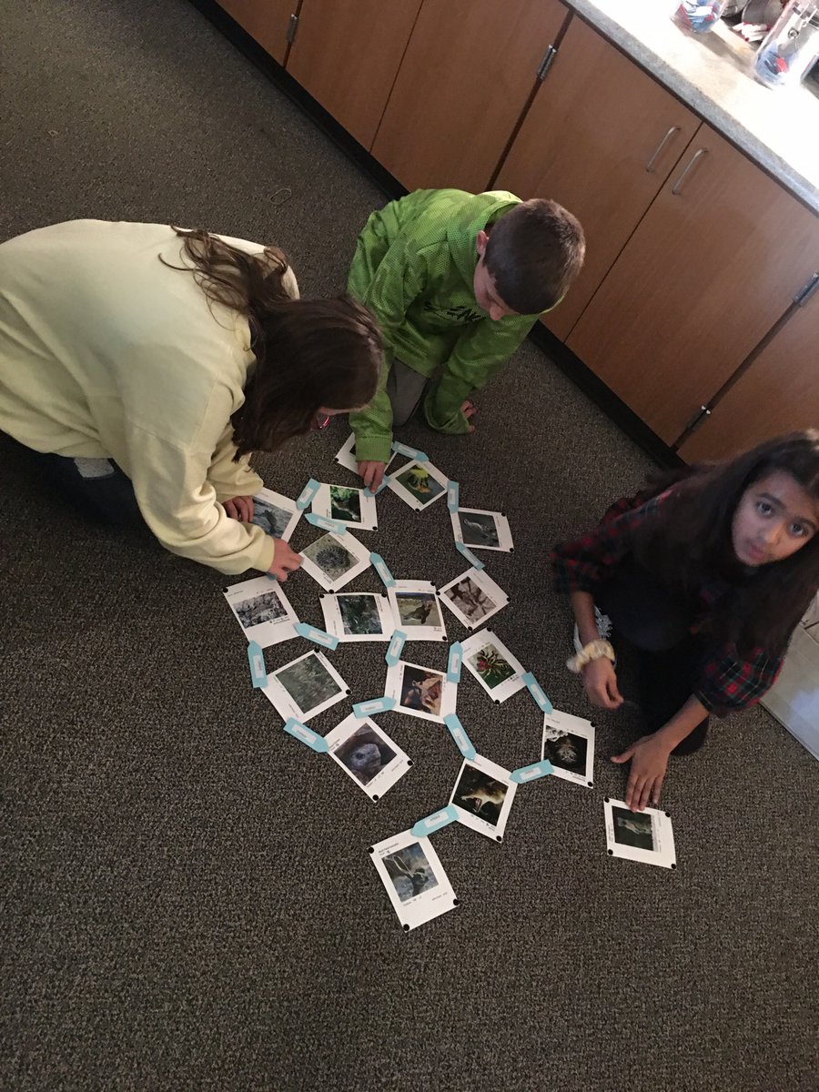5thwithSivinski's tweet photo. These ecologists are analyzing and creating the desert, aquatic, and arctic food webs today. They have to figure out who is the predator and who is the prey to figure out these extensive webs. π¦ππ¦ #FutureEcologists #4thGradeRocks https://t.co/IlWOcX7Xcm